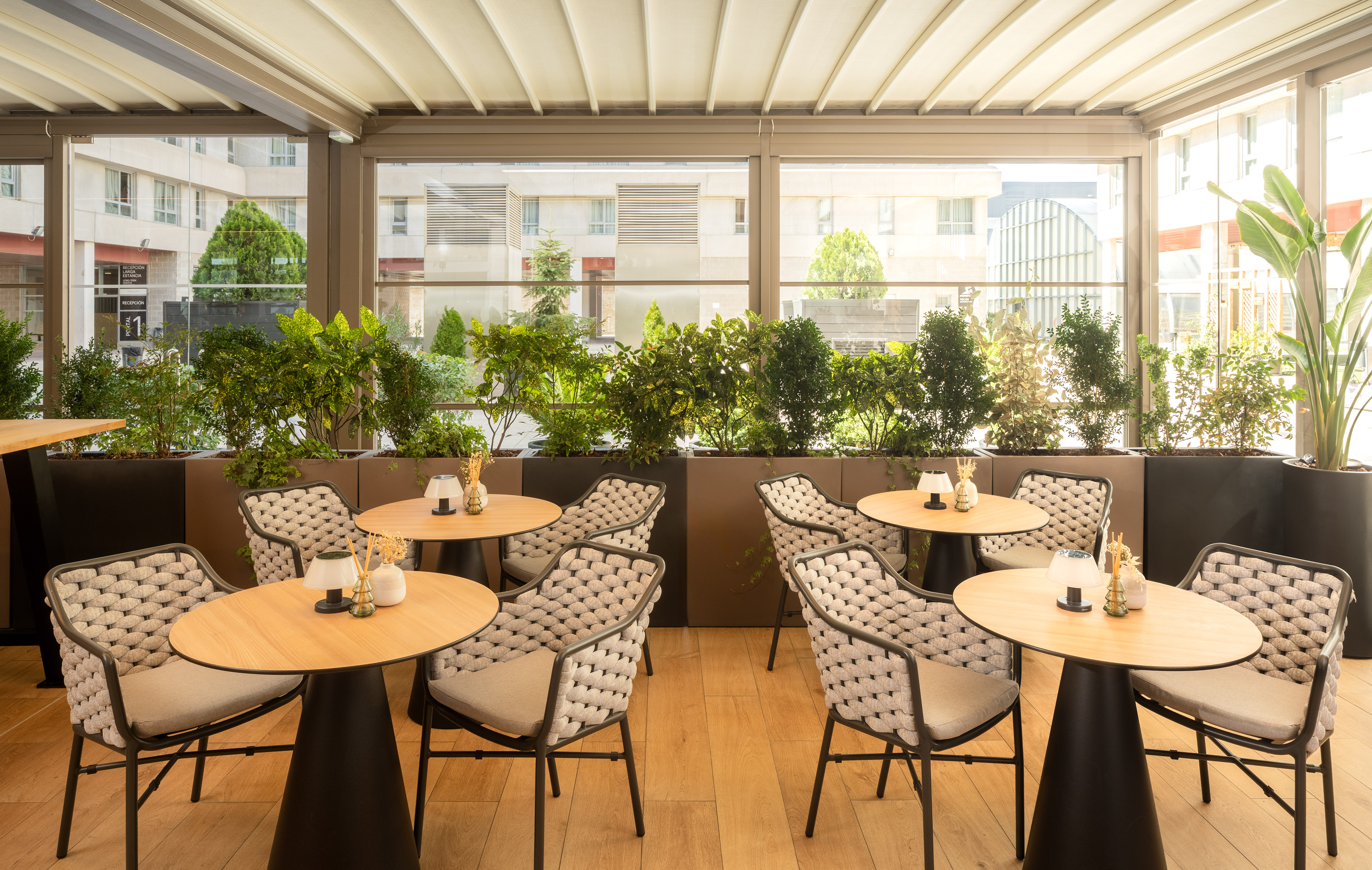 Bright outdoor cafe terrace with modern seating and abundant green plants.