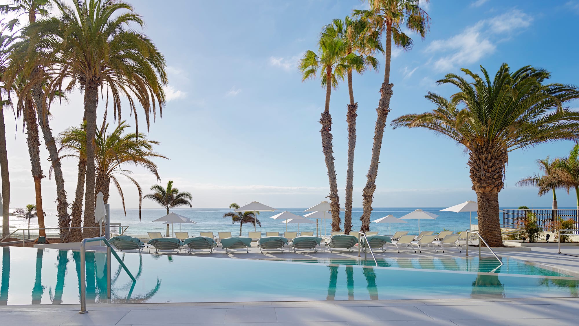 a pool with palm trees and umbrellas by the water