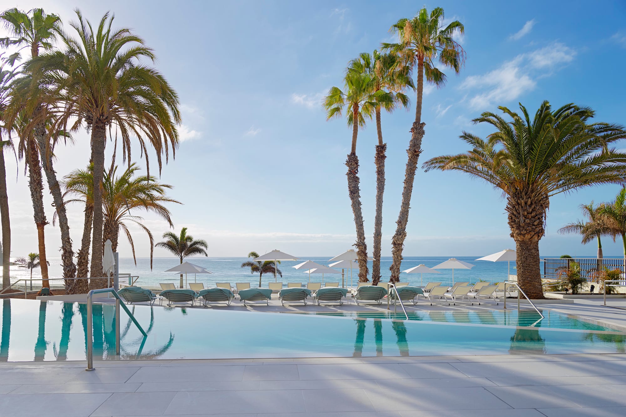 a pool with palm trees and umbrellas by the water