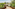 Wooden walkway through lush tropical resort with palm trees and thatched huts.
