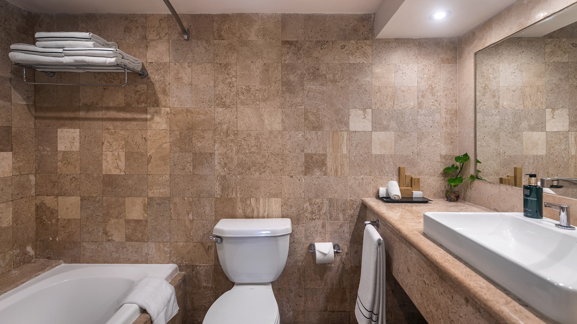 a bathroom with a toilet and tub