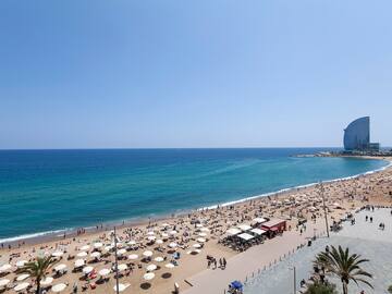 a beach with umbrellas and people on it
