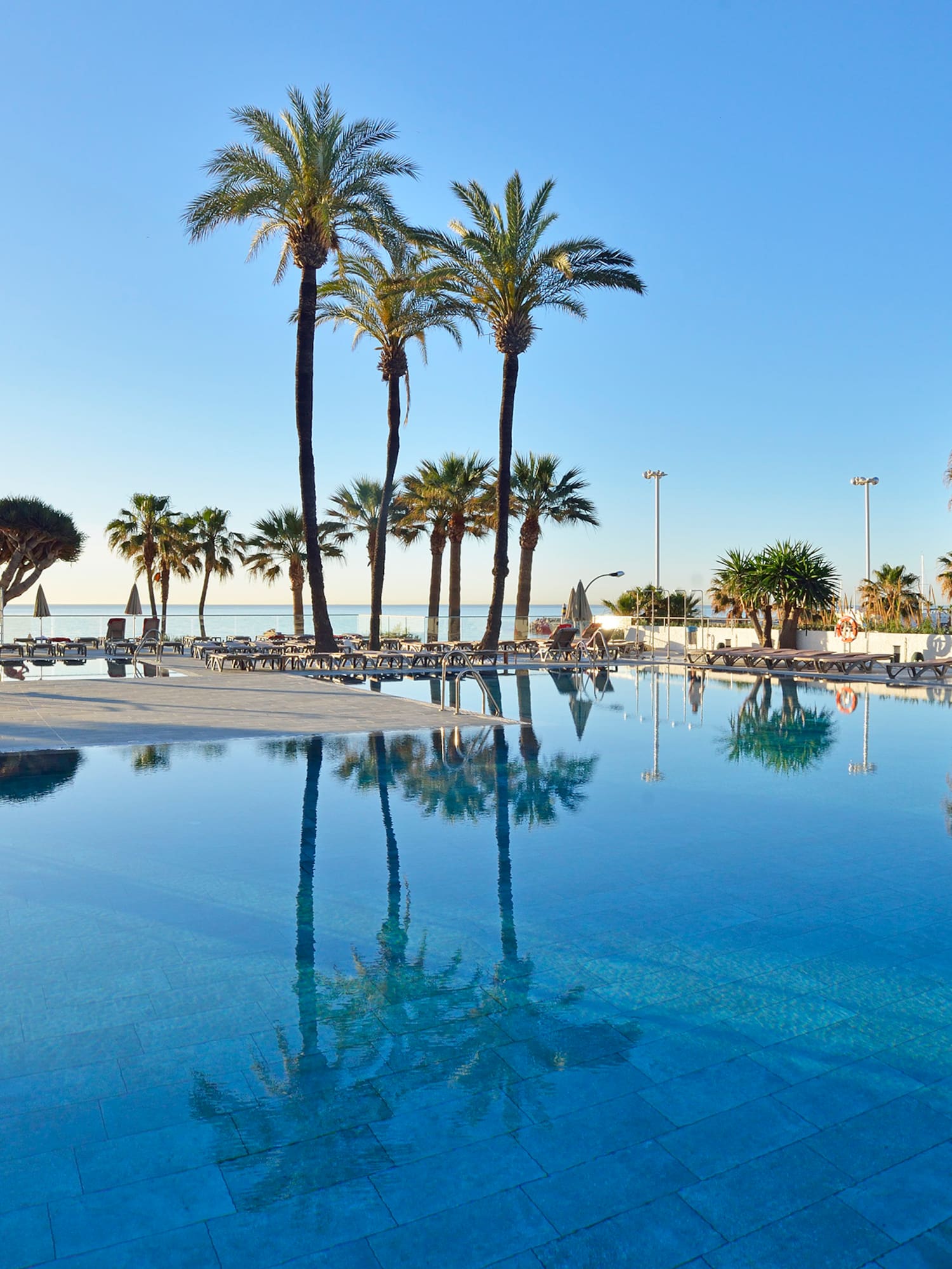 a pool with palm trees and a beach