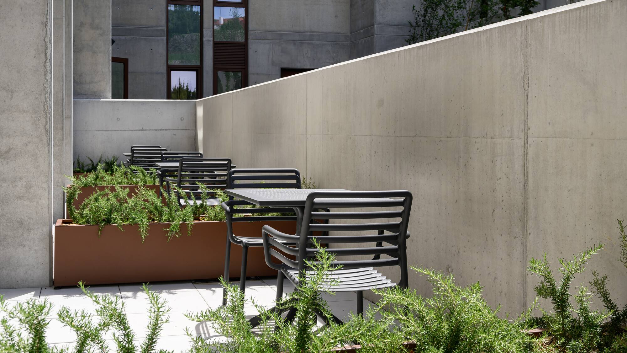 a patio with chairs and plants