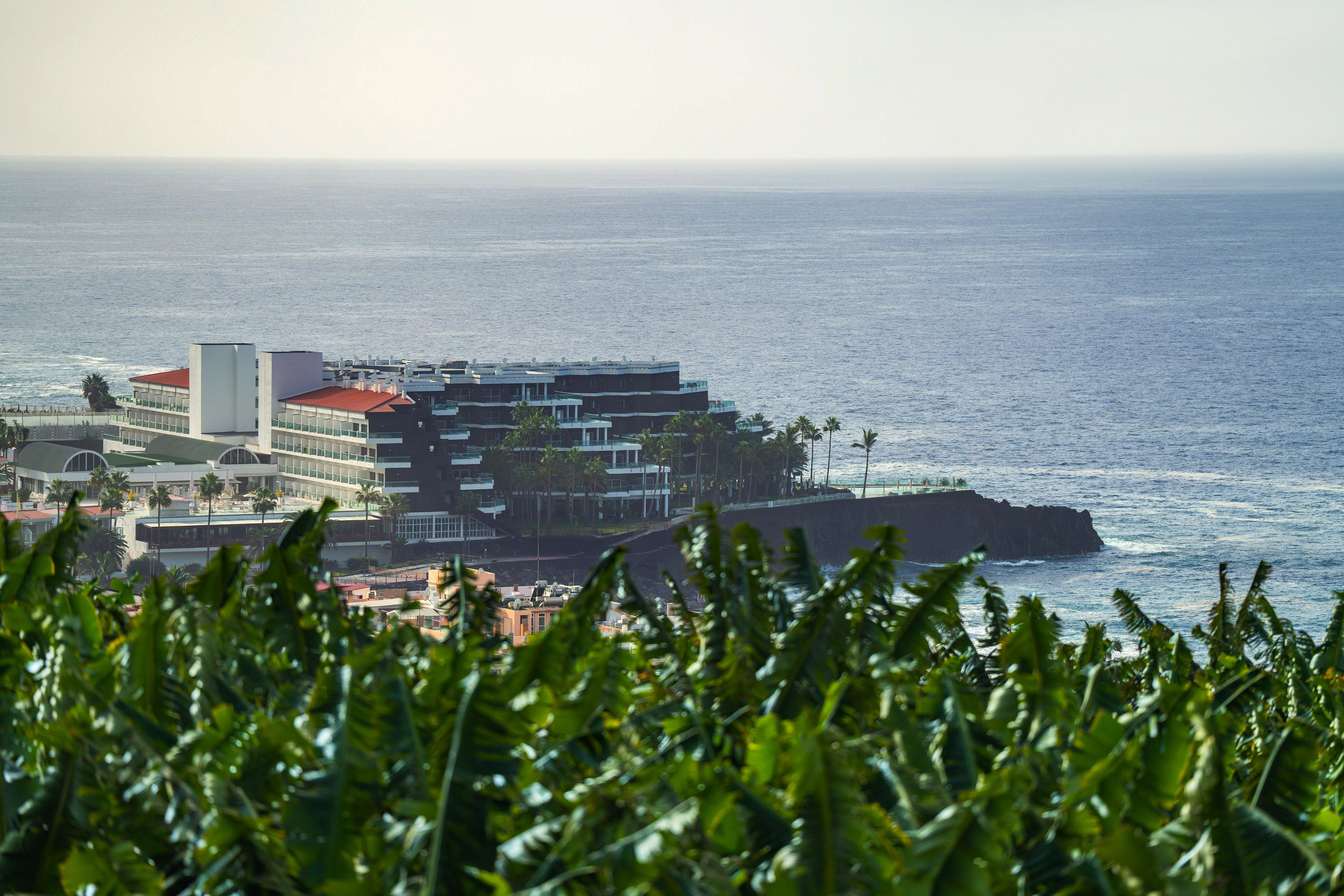 Tropical hotel on cliff overlooking ocean, framed by banana plants.