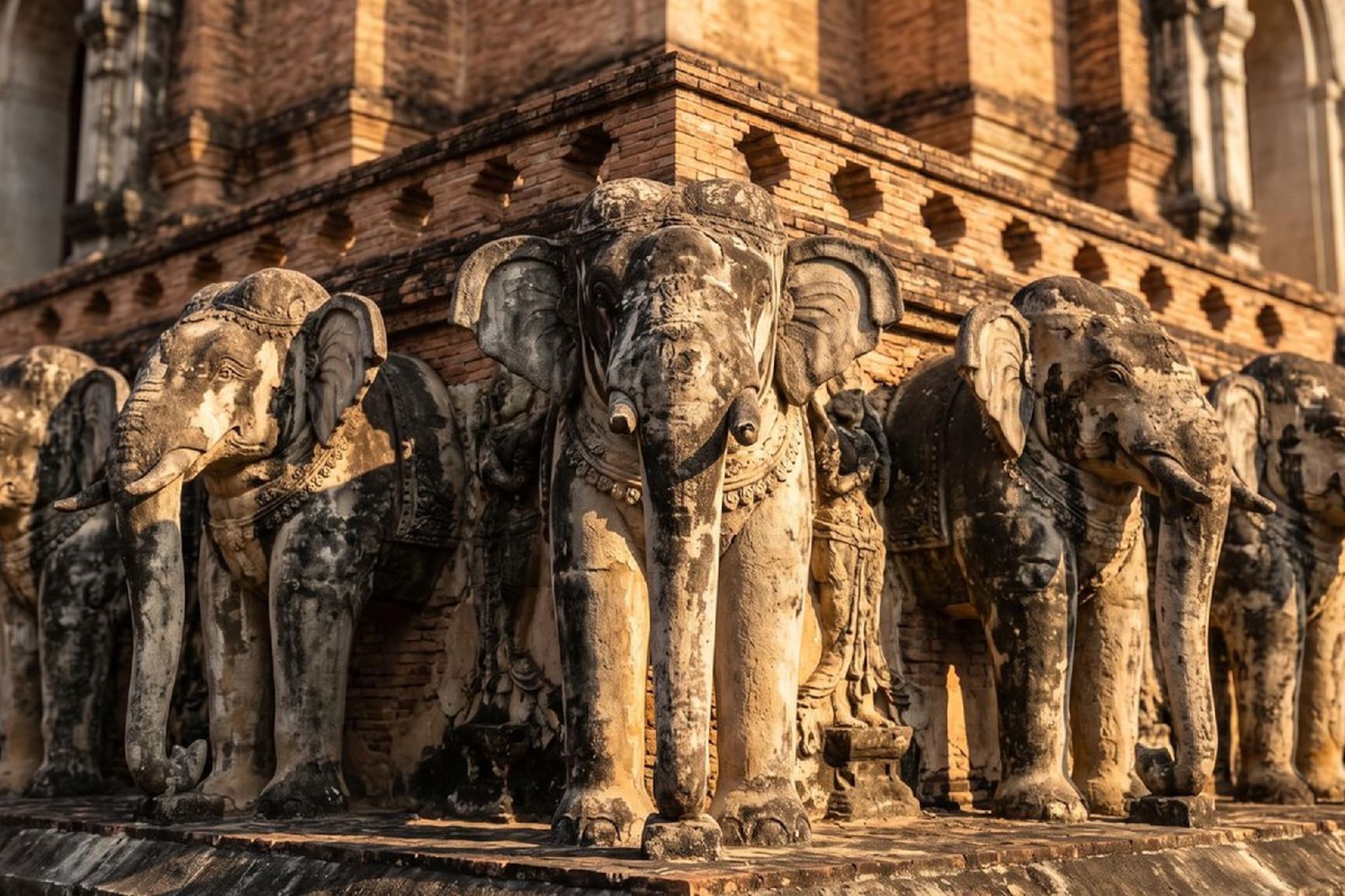 Stone elephant statues along a historic Thai temple wall.