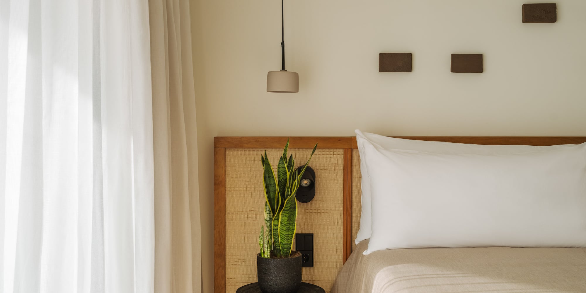 a plant in a pot next to a bed