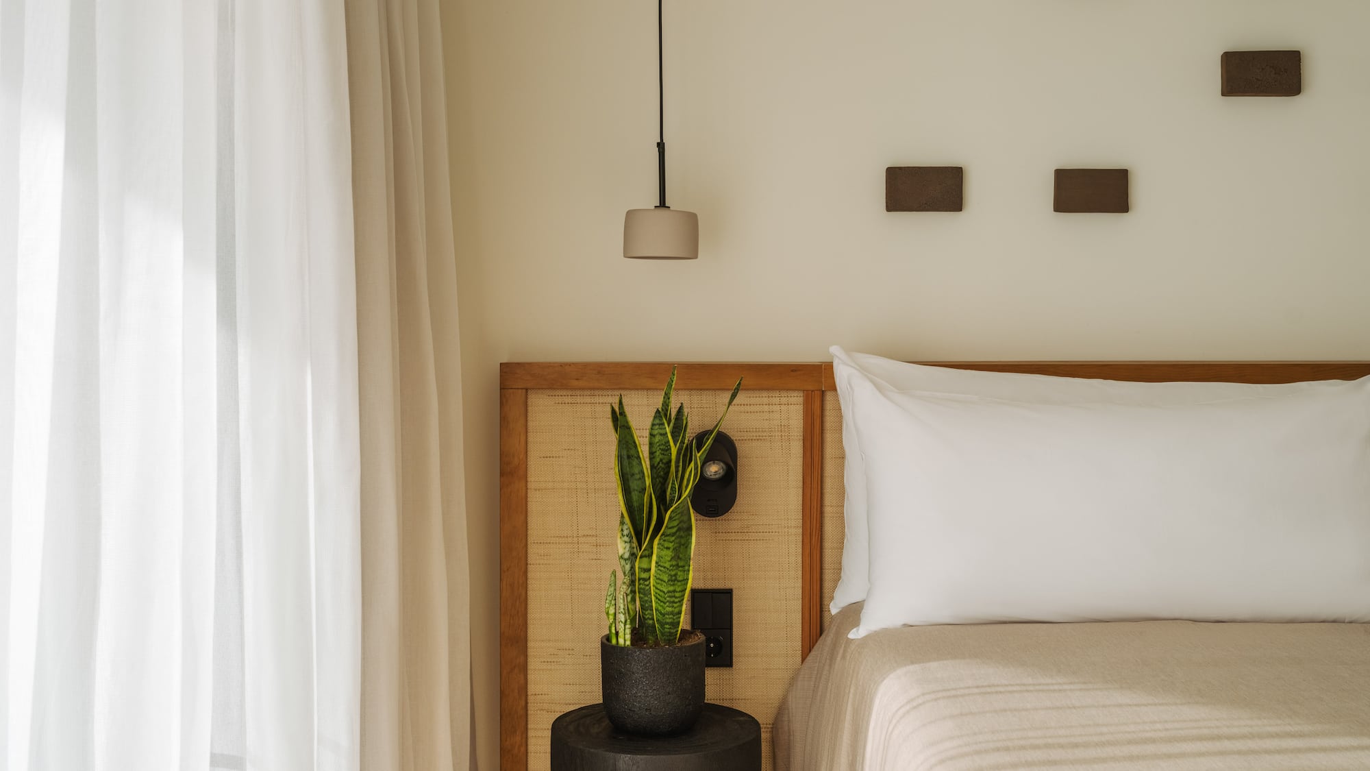 a plant in a pot next to a bed