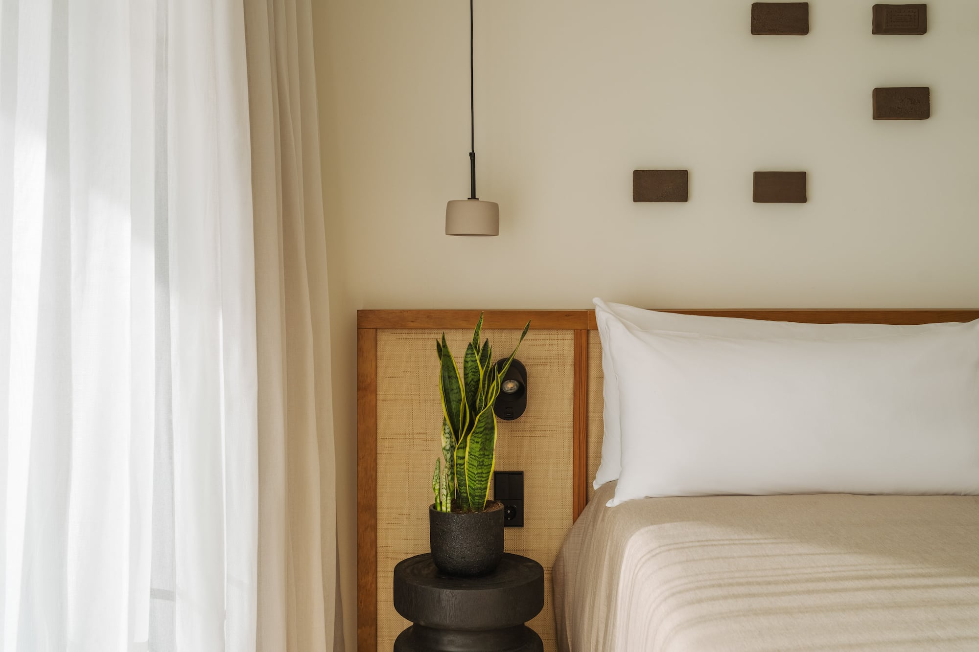 a plant in a pot next to a bed