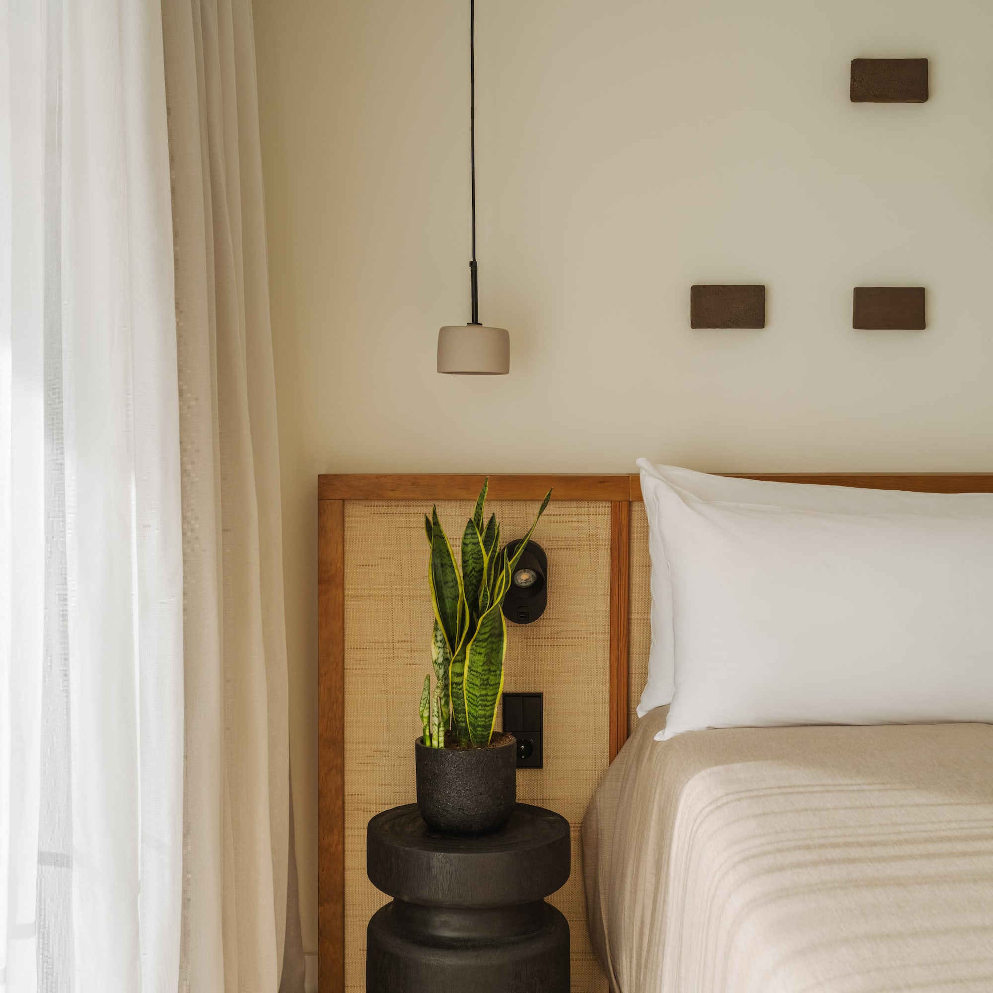 a plant in a pot next to a bed