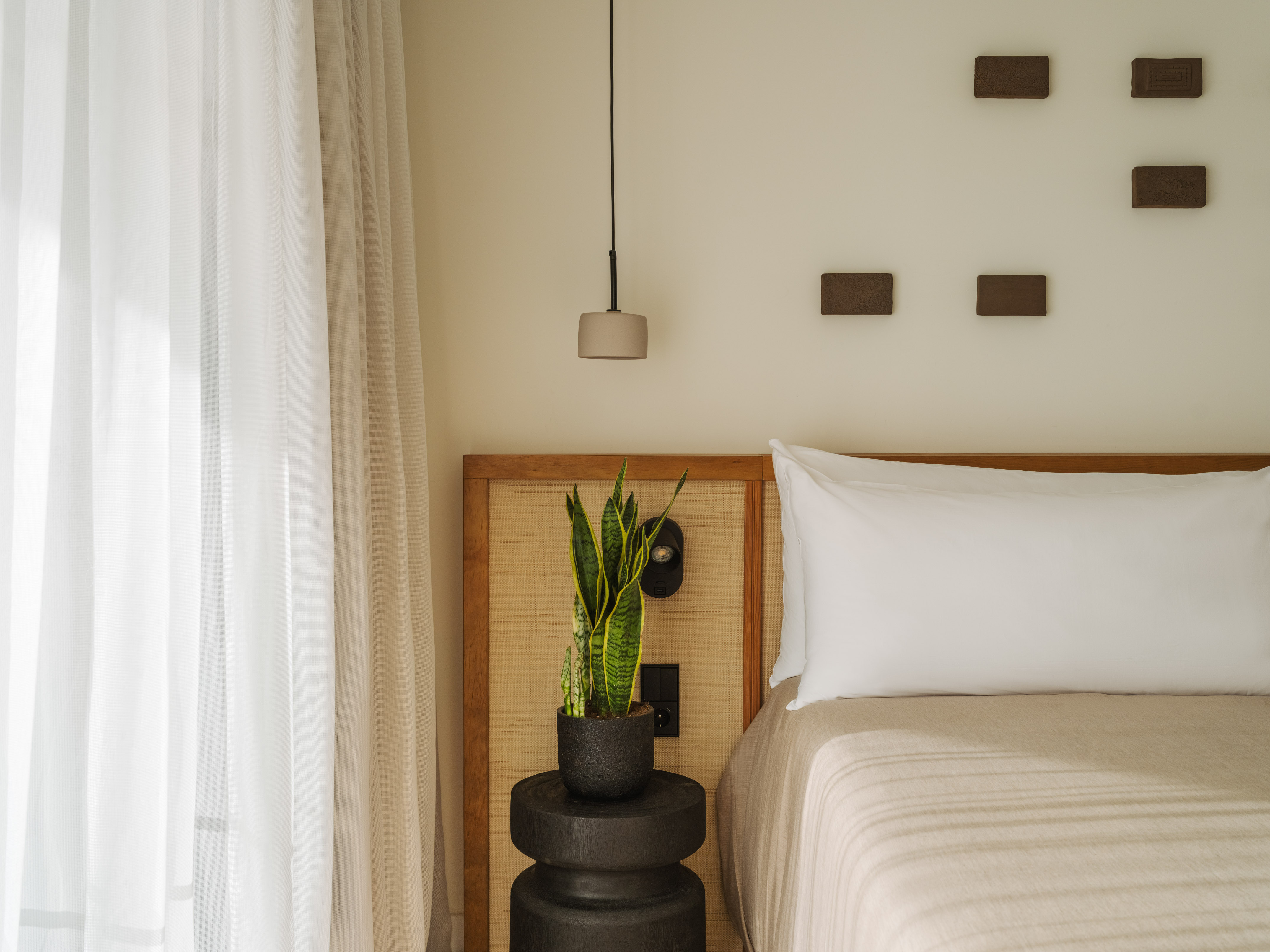 Modern bedroom with snake plant, neutral bedding, and woven headboard.
