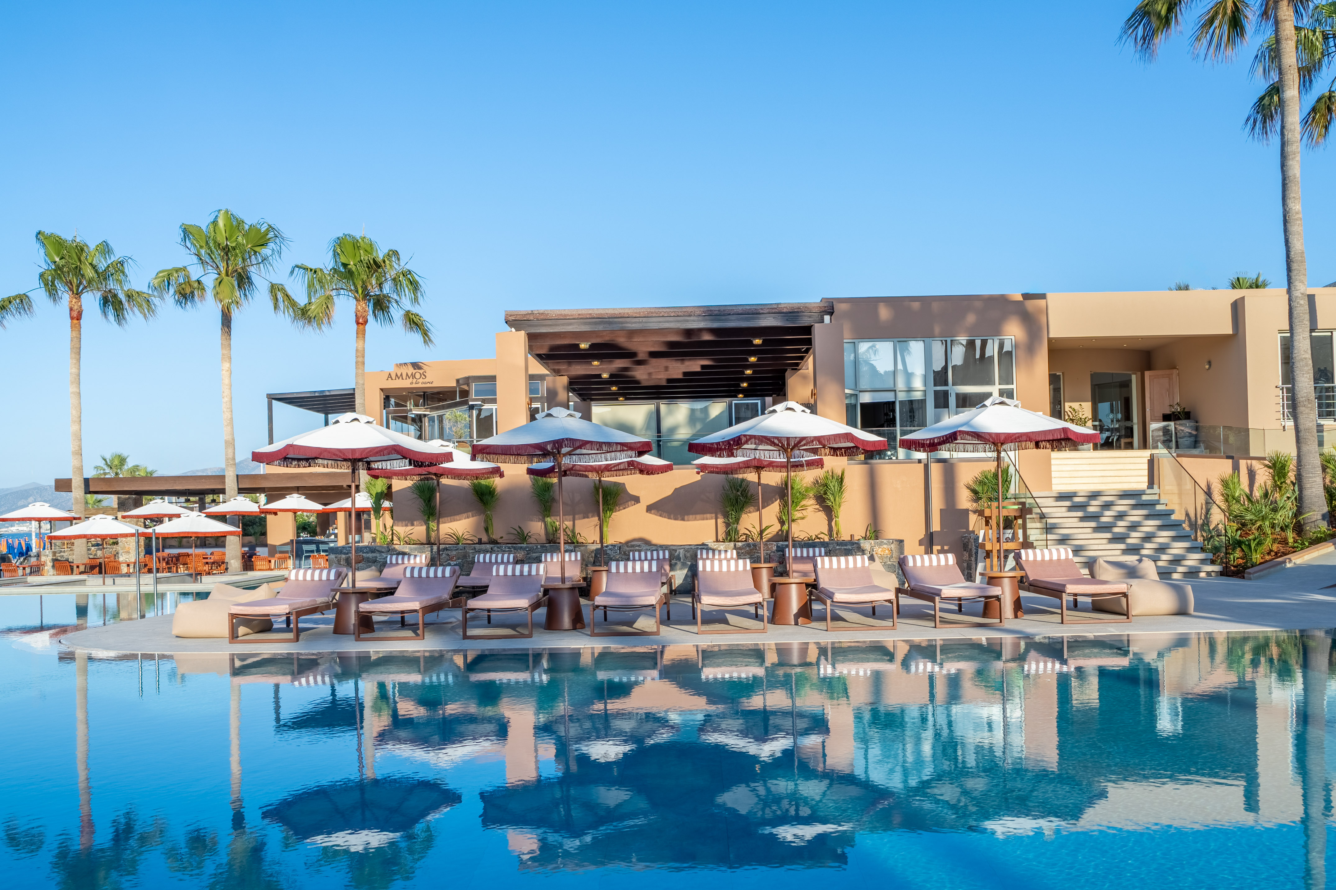 Ammos resort pool, palm trees, luxury loungers, and umbrellas under clear sky.