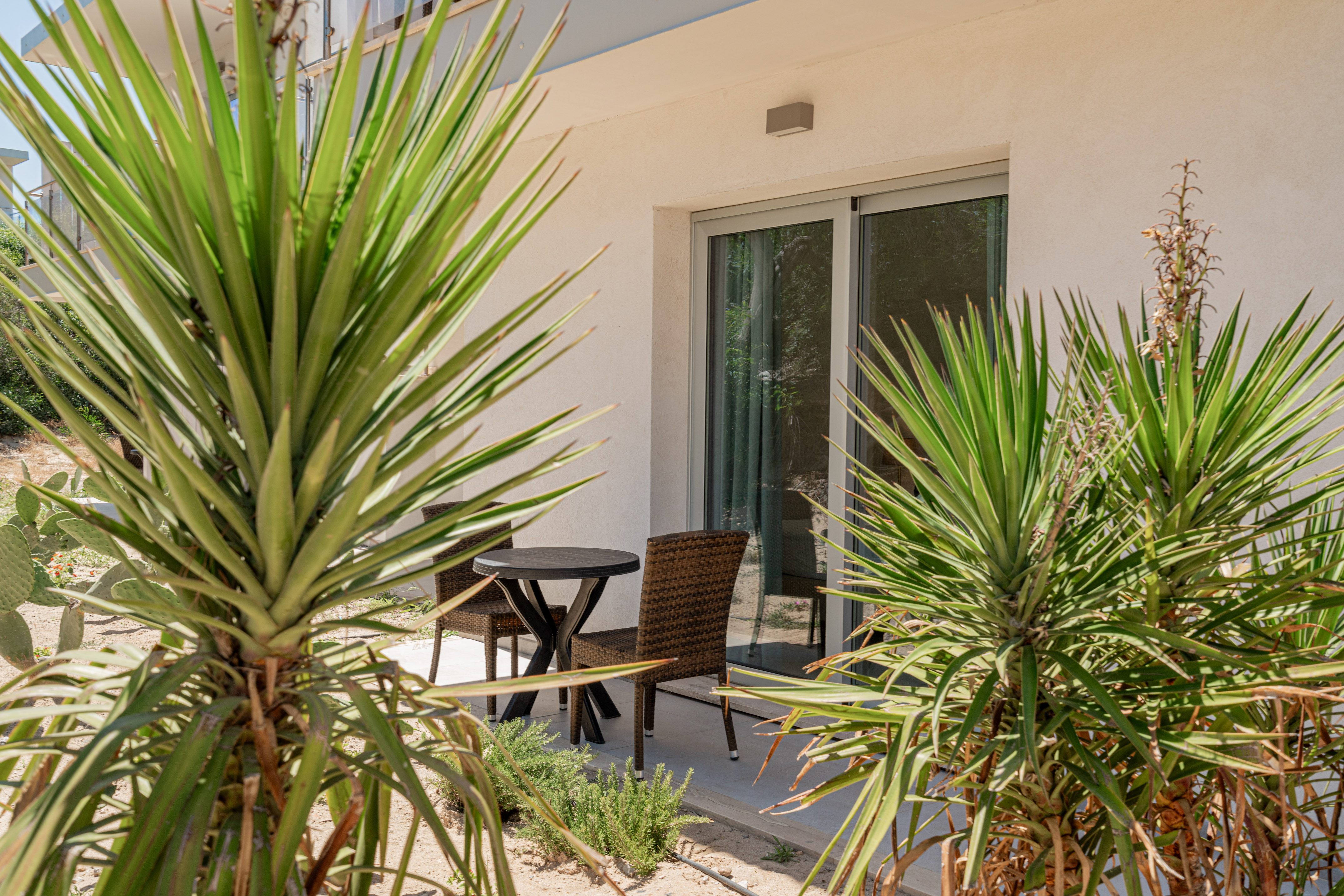 Modern villa patio with outdoor furniture, framed by lush yucca plants.