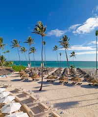 a beach with palm trees and umbrellas