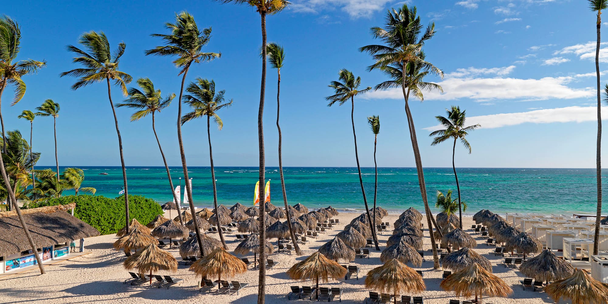 a beach with palm trees and umbrellas