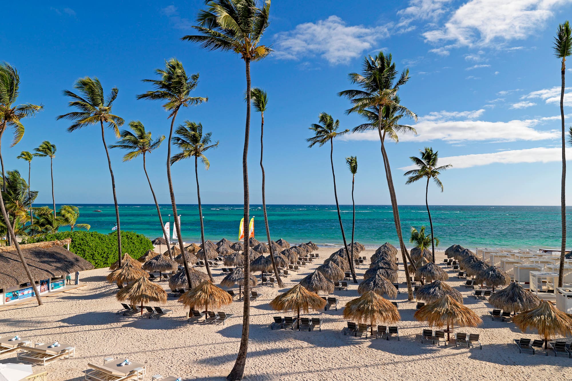 a beach with palm trees and umbrellas