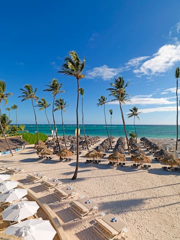 a beach with palm trees and umbrellas