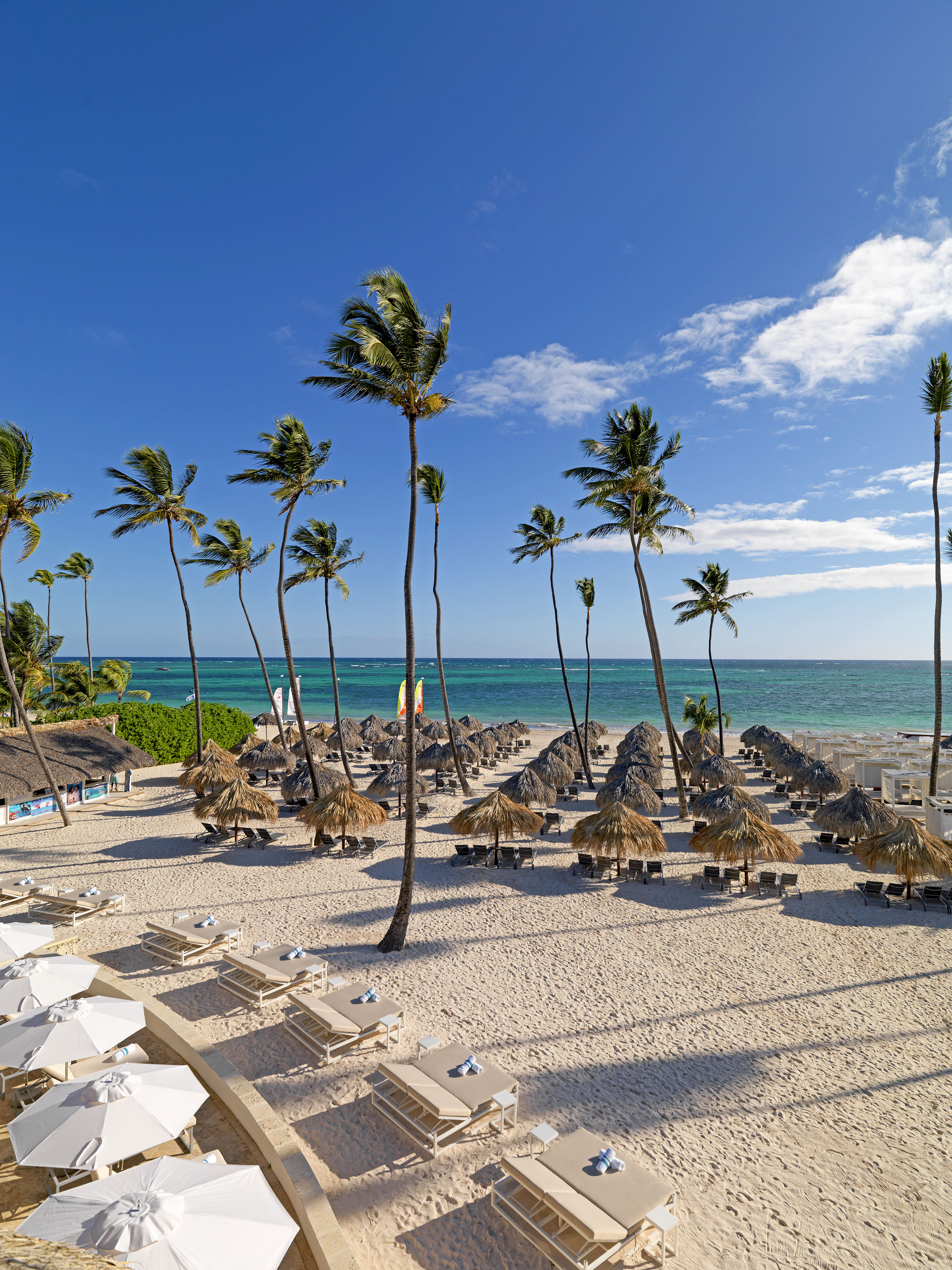 Tropical beach with palm trees, palapas, lounge chairs, and blue ocean.