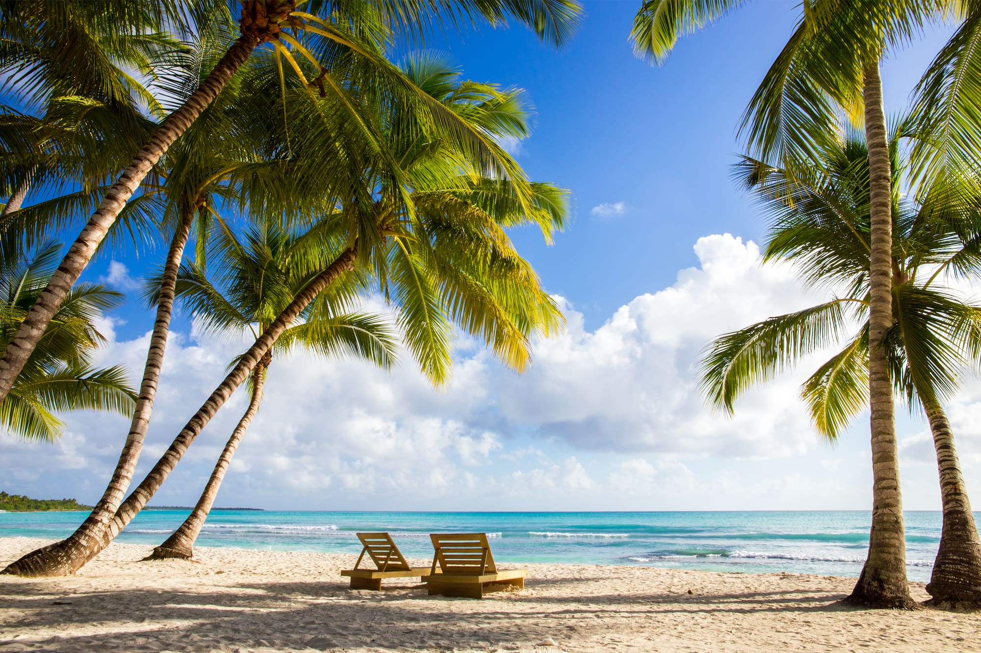 Playa caribeña con palmeras, mar turquesa y tumbonas.