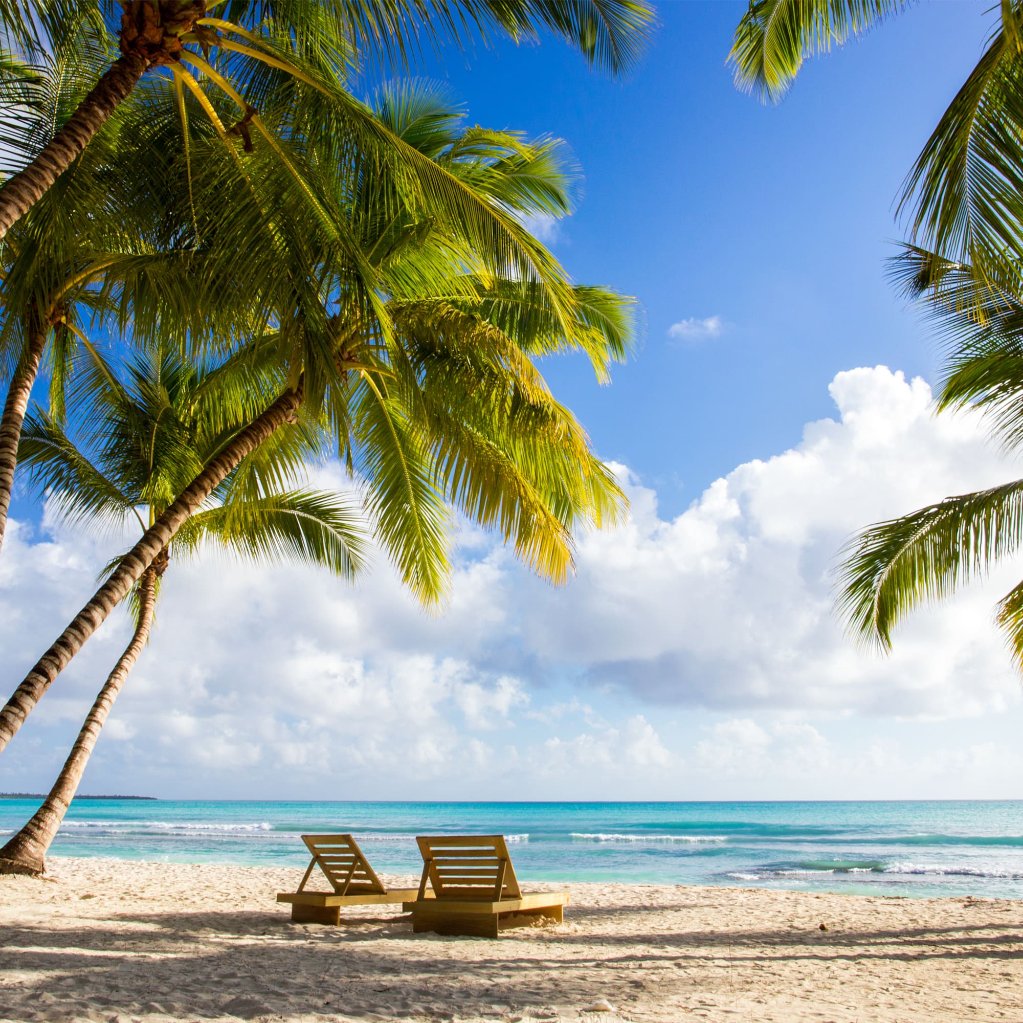 Playa tropical con palmeras, arena blanca, mar turquesa y dos tumbonas.