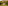 Orange grove wine tasting with couple and man, mountain backdrop.