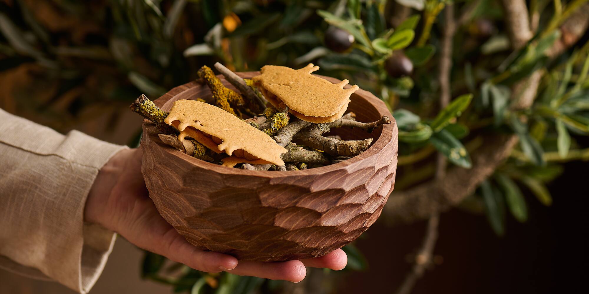 a hand holding a bowl of food