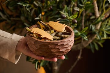 a hand holding a bowl of food