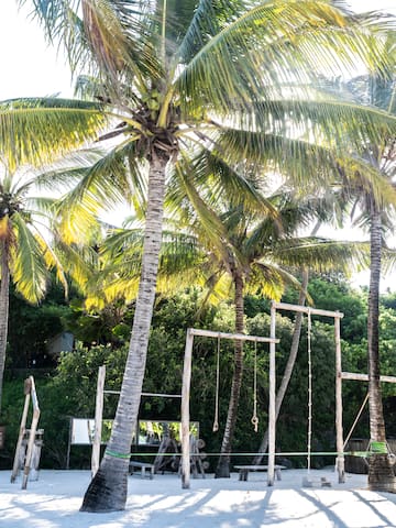 a palm trees and ropes from a swing