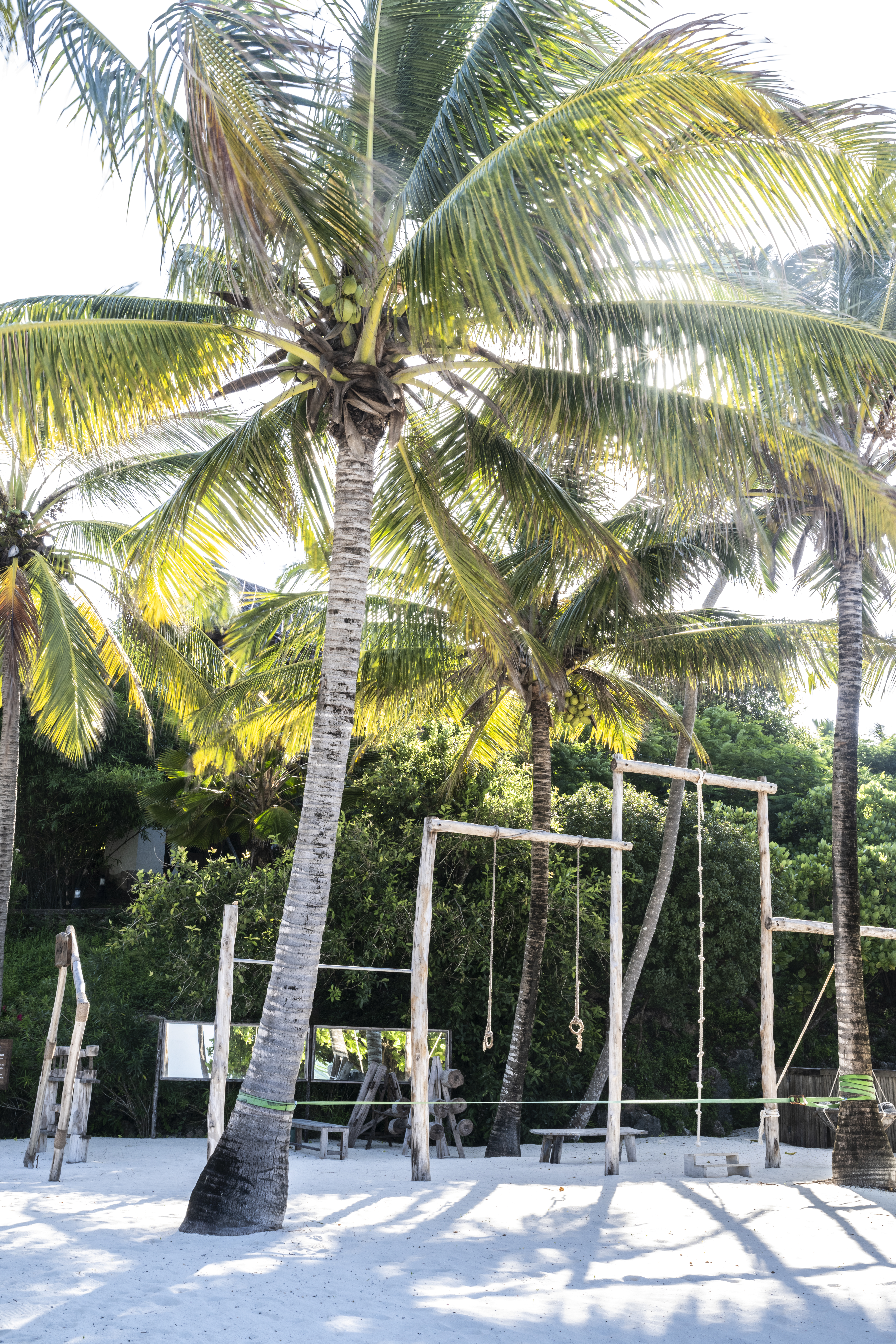 Sunny white sand beach with tall palm trees and wooden fitness structure.