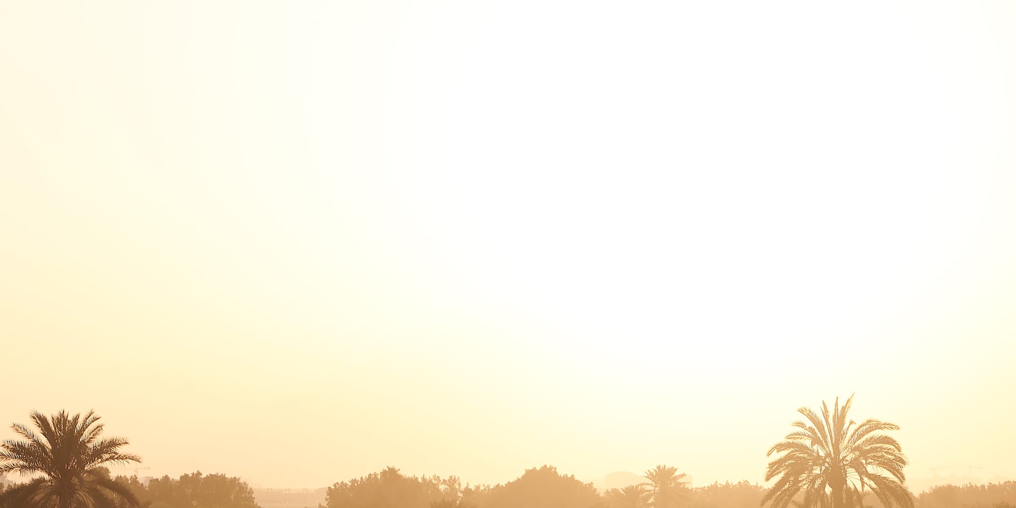 a person riding a horse in a field