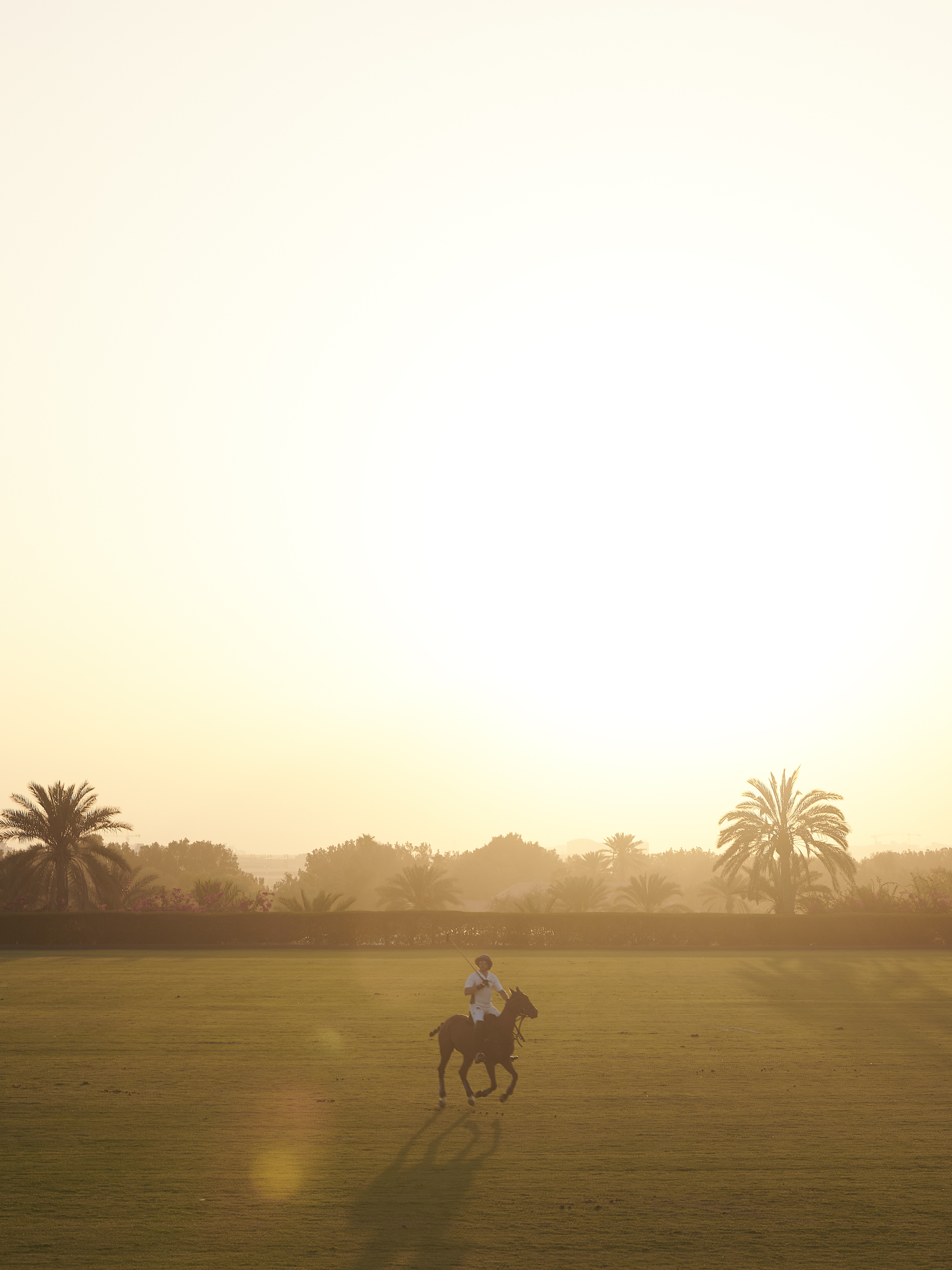 Polo player on horseback at golden hour on a green field with palm trees.