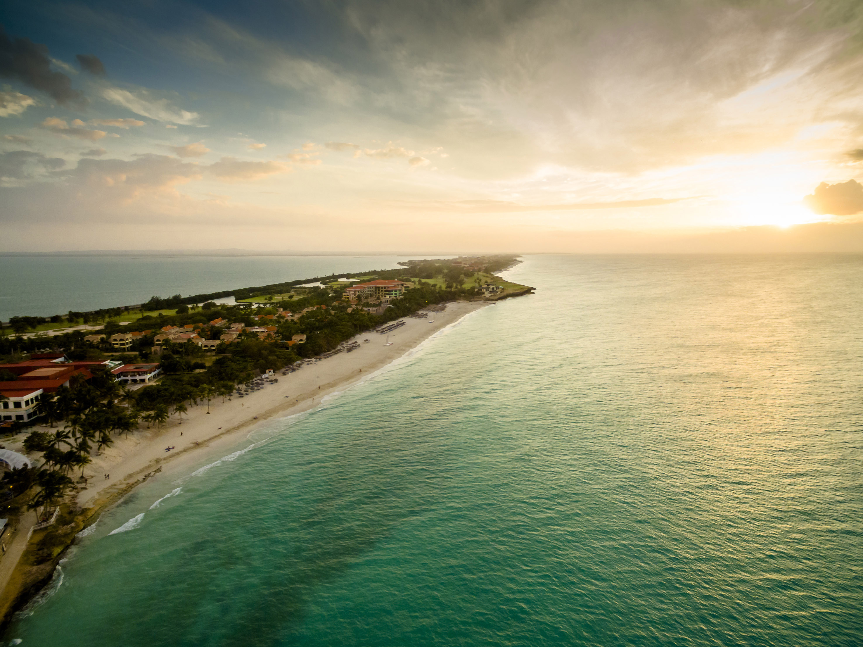 a beach with buildings and trees on it