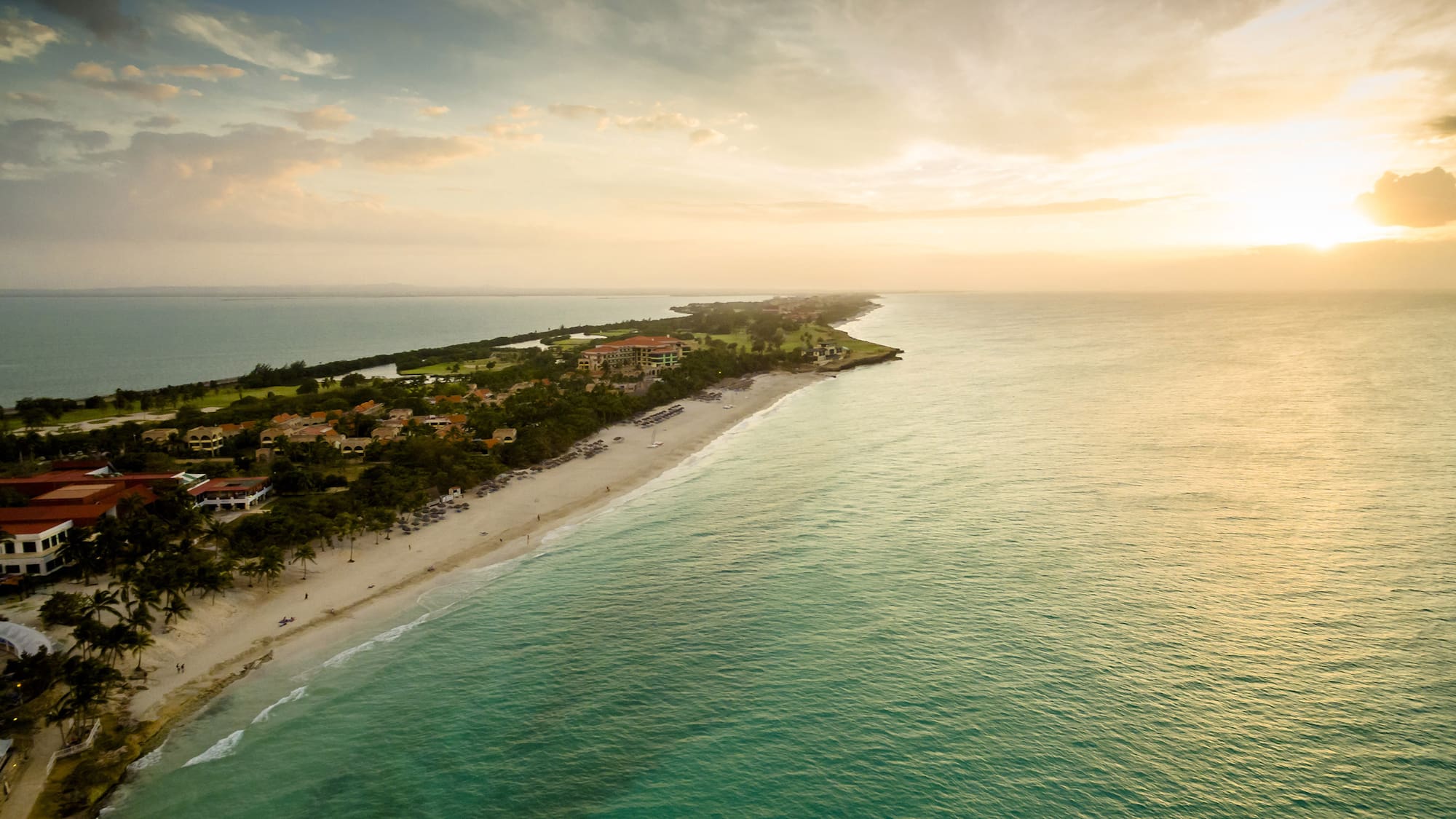 a beach with buildings and trees on it