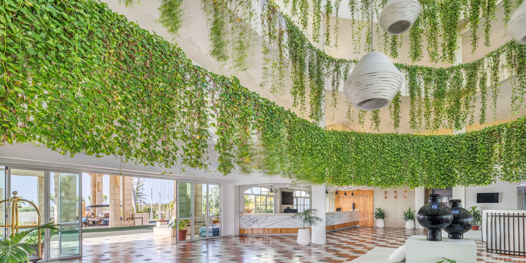a room with plants from the ceiling