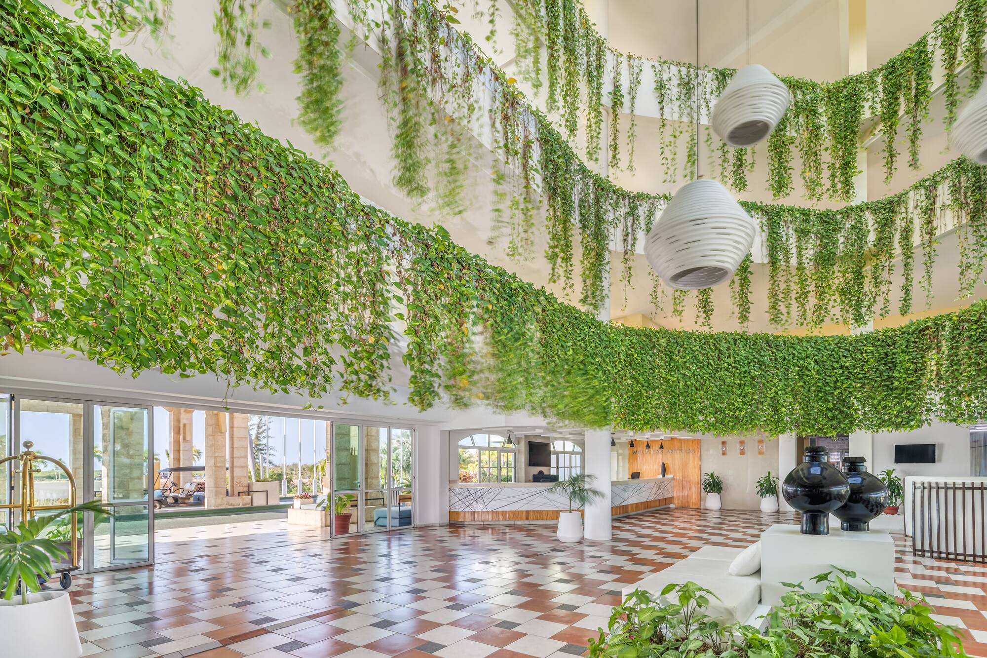 a room with plants from the ceiling