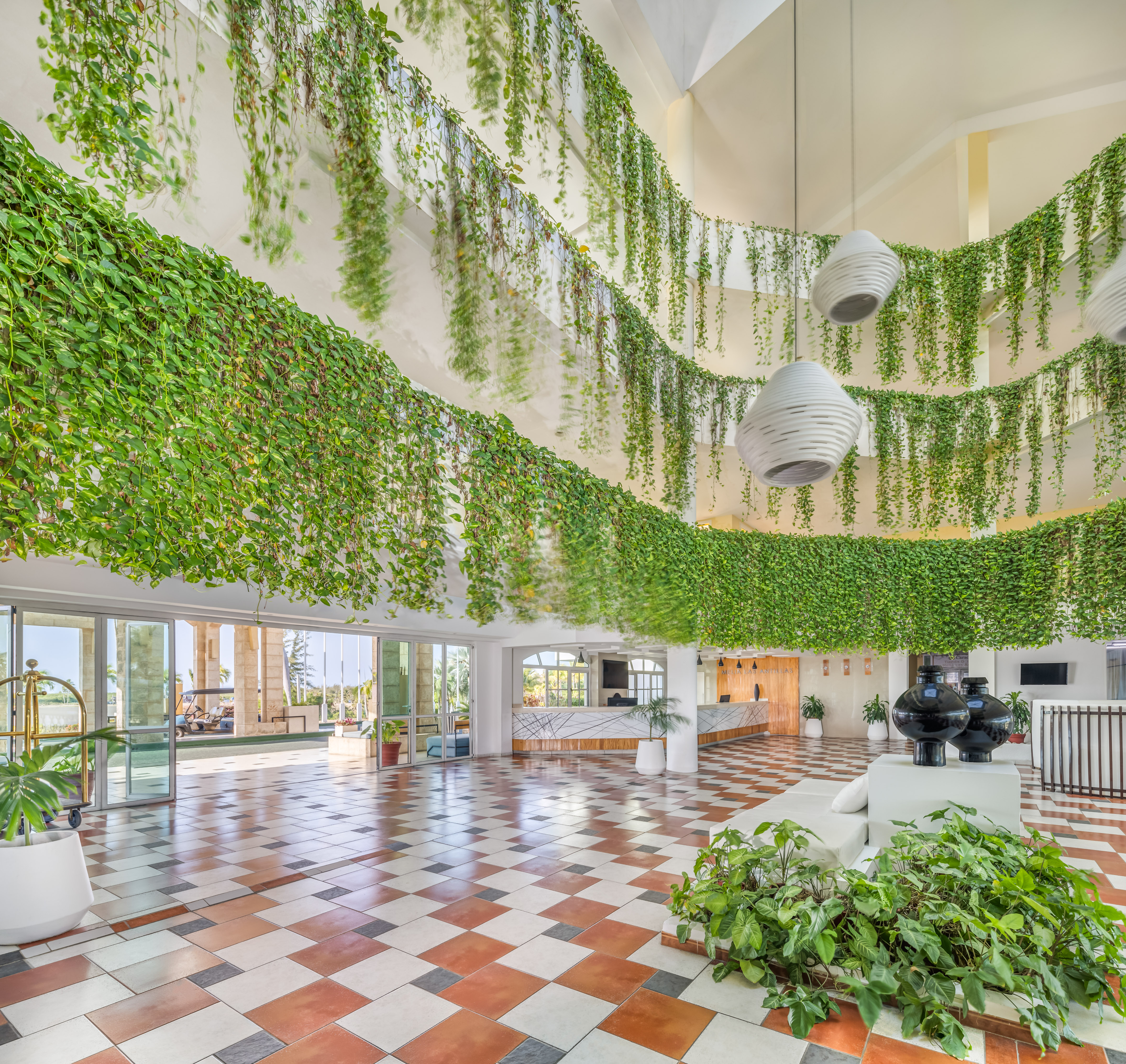 a room with plants from the ceiling