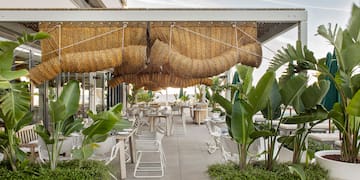 a patio with plants and chairs