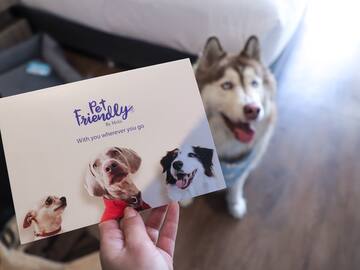 a person holding a card with dogs on it