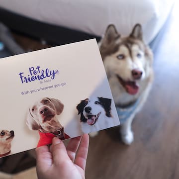 a person holding a card with dogs on it