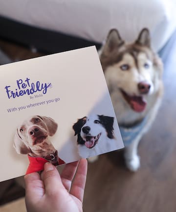 a person holding a card with dogs on it