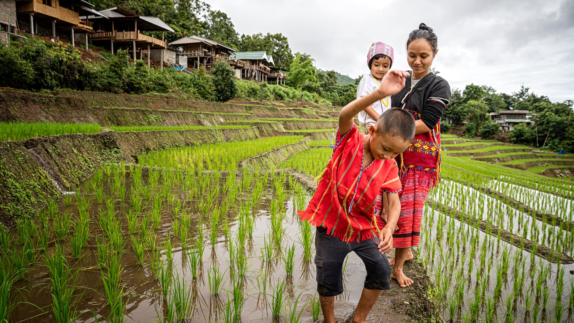 a woman and children standing in a rice field