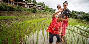 a woman and children standing in a rice field