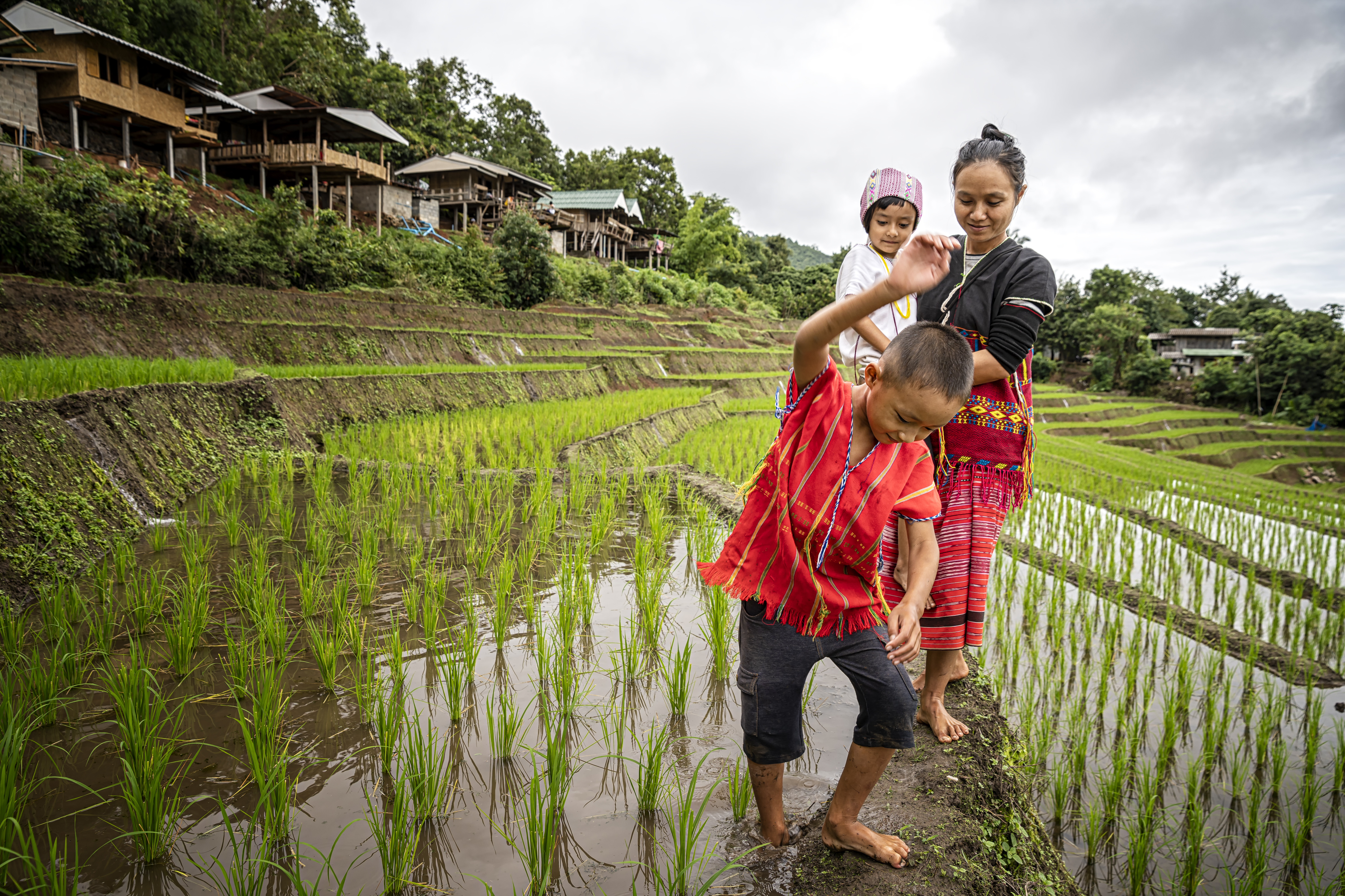 a woman and children standing in a rice field