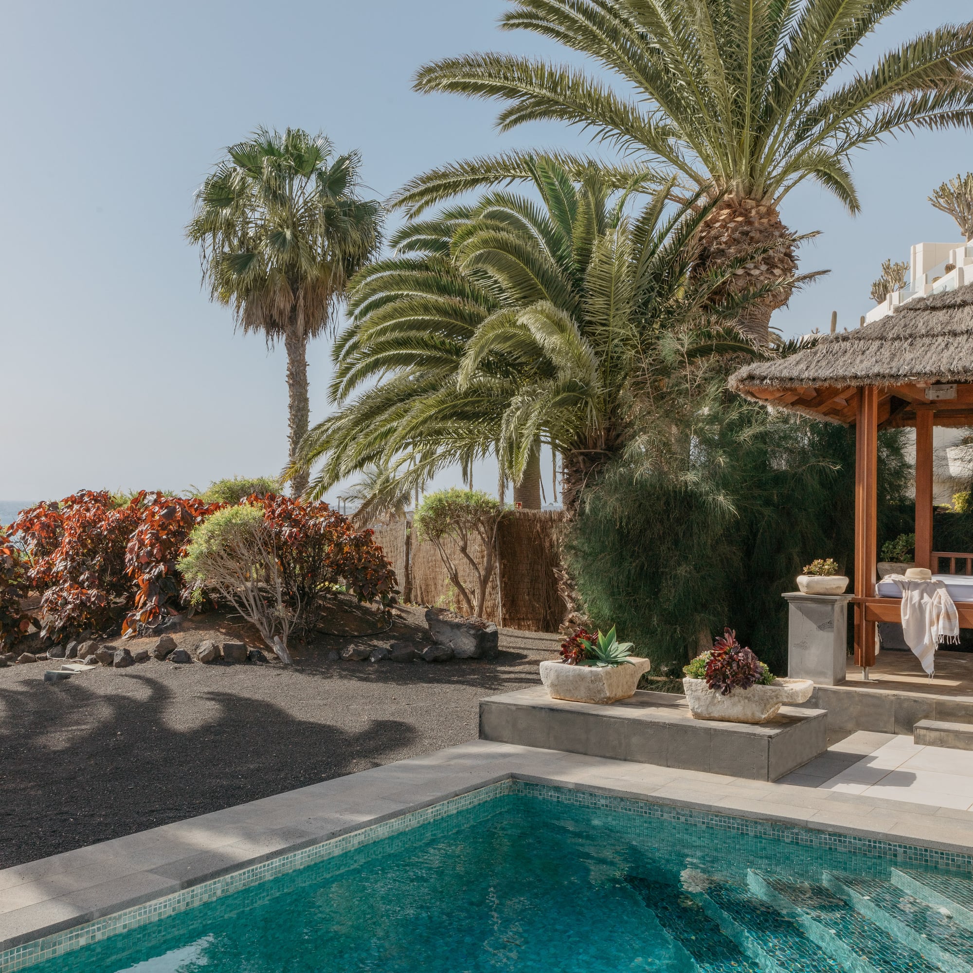 a pool with a gazebo and palm trees