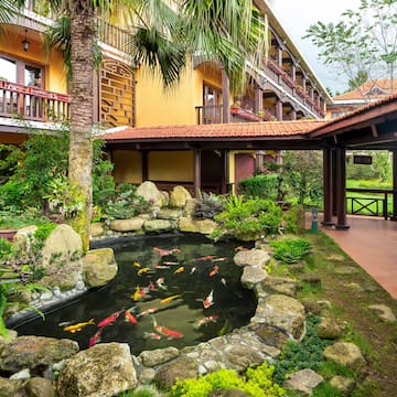 a pond with fish in it surrounded by trees and Jim Thompson House