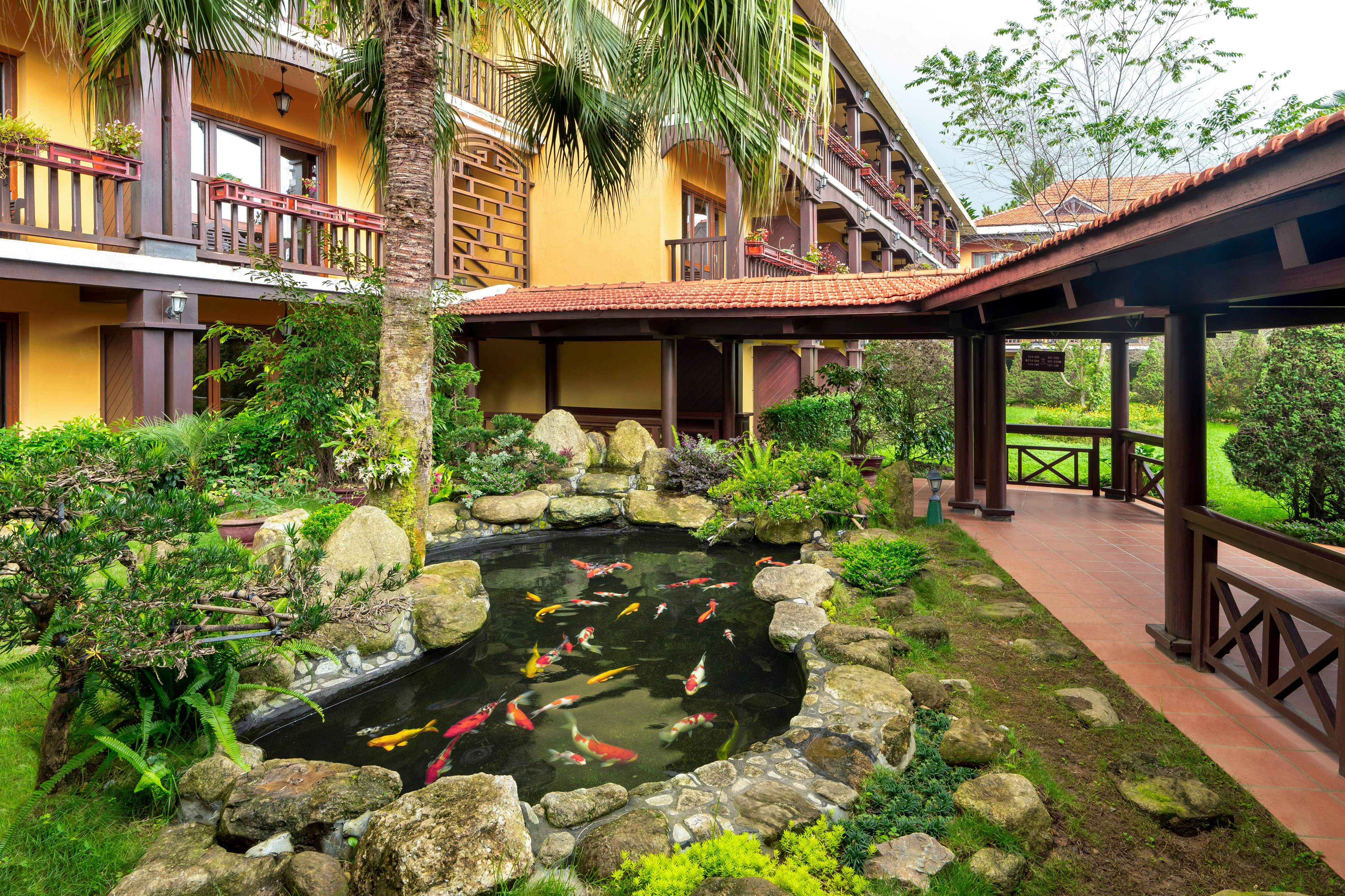 a pond with fish in it surrounded by trees and Jim Thompson House