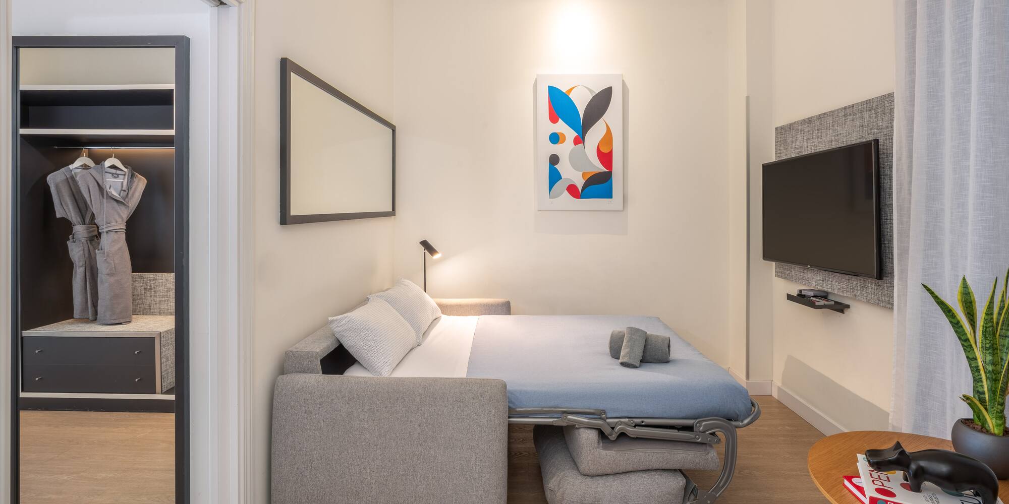 Modern studio featuring a sofa bed, wall TV, abstract art, and open closet.