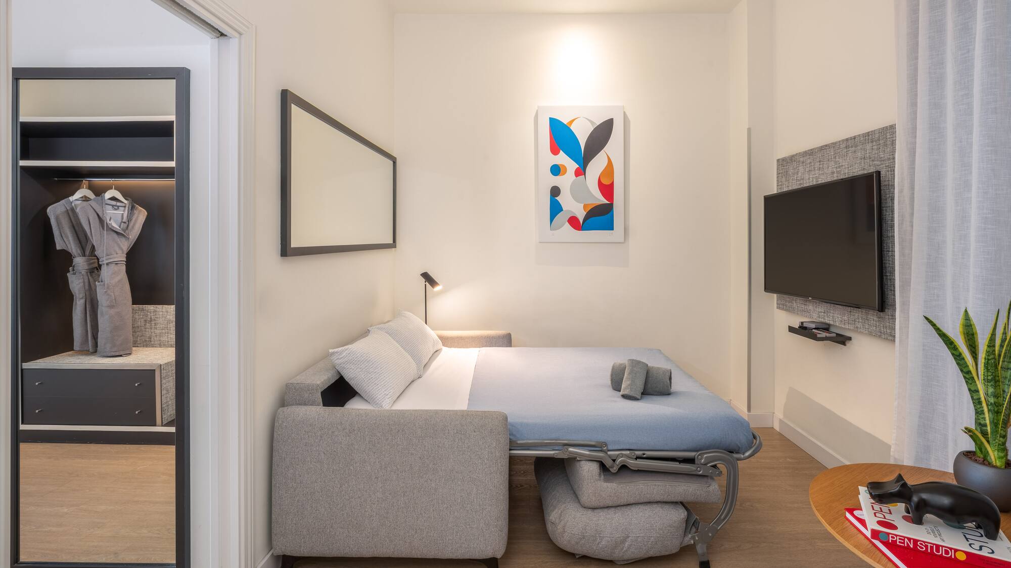Modern studio featuring a sofa bed, wall TV, abstract art, and open closet.