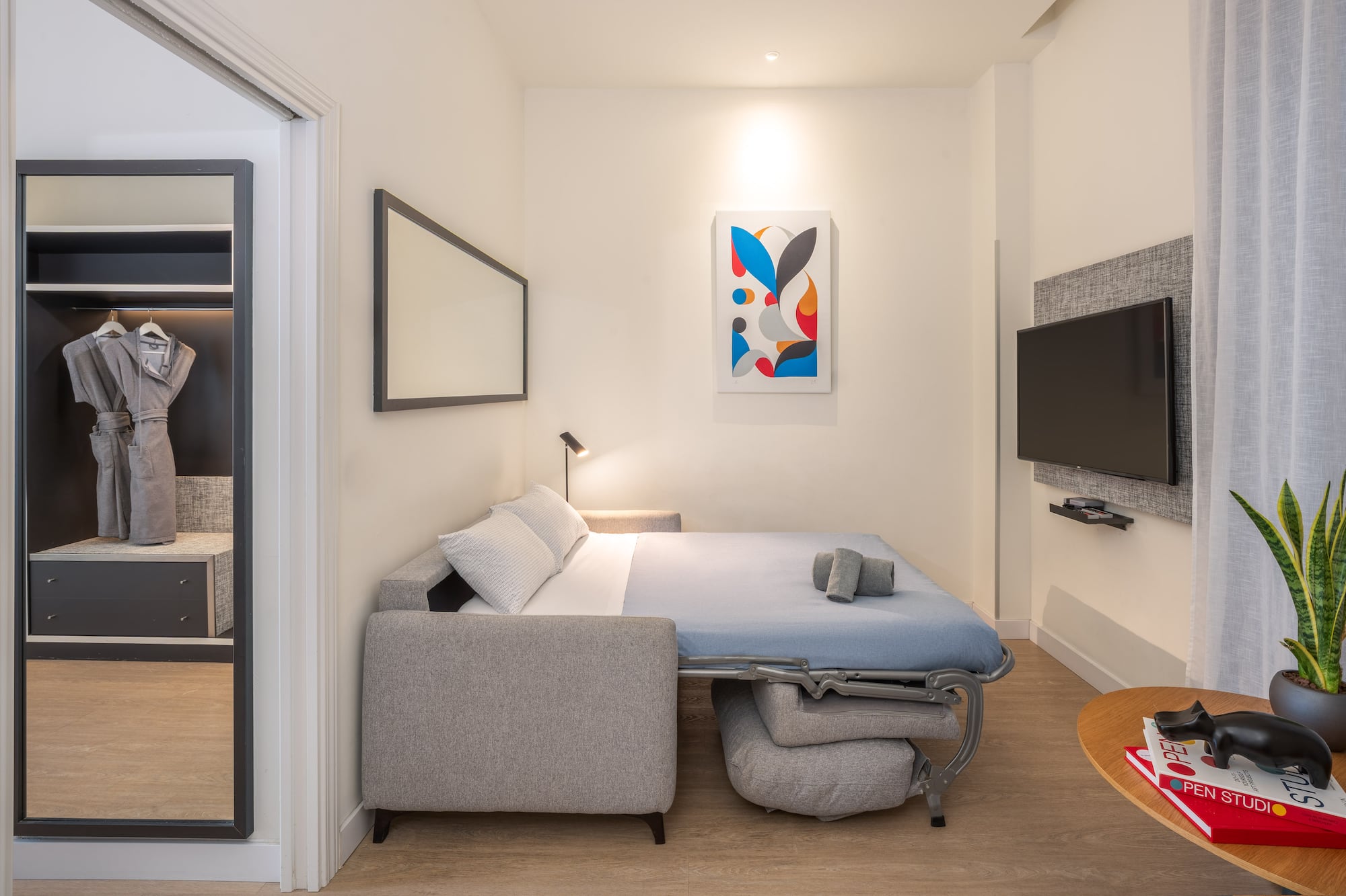 Modern studio featuring a sofa bed, wall TV, abstract art, and open closet.