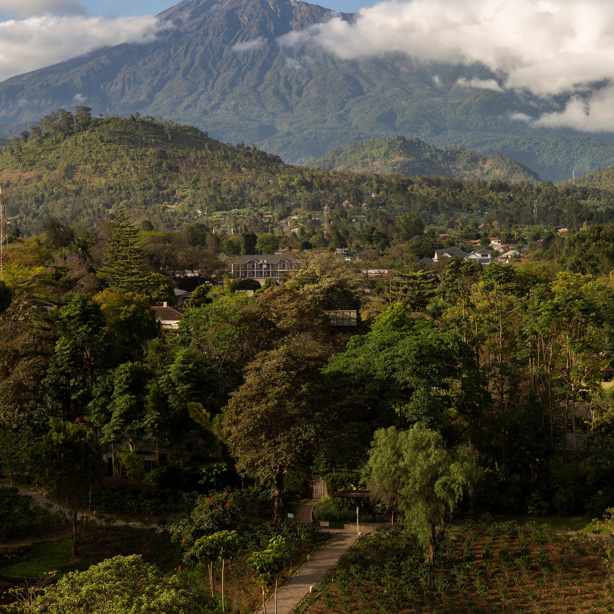 a landscape with a mountain in the background